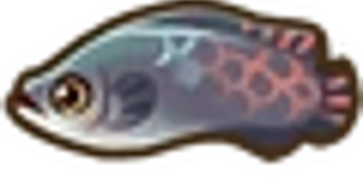 Aripaima | Coral Island Fish Checklist